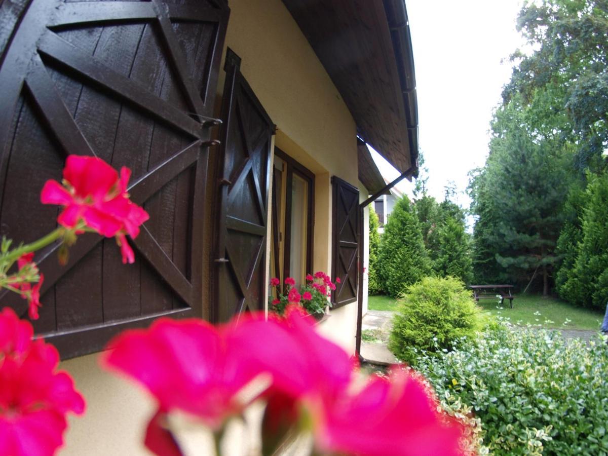 Homestay Dom Goscinny Harry